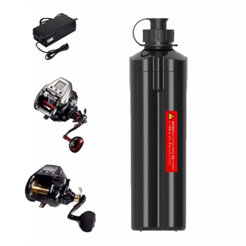 Angelrolle elektrisch