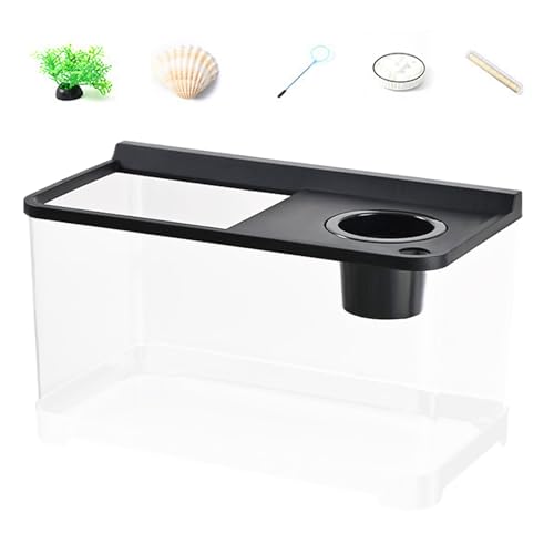 Betta Aqurium 3 farbige Lichter – 13,31 x 8,19 x 7,87 cm im Büro-Aqurium | Aquaium Beetta aus ABS, PP | Hochwertiges Aqarium für Tisch, Arbeitsplatz, Wohnzimmer, Schlafzimmer, A