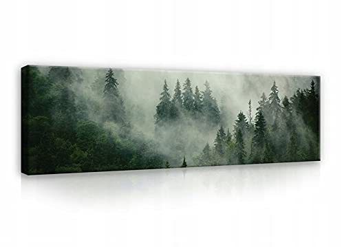 WallArena - Leinwand Bilder - Wald Nebel Grün Natur - 145x45 cm Leinwandbilder - Bild auf leinwand - Wandbild XXL groß Wandbilder für Wohnzimmer Schlafzimmer Wohnzimmerbilder Modern