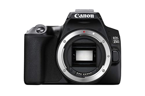 Canon EOS 250D Digitale Spiegelreflexkamera Gehäuse Body (24, 1 Megapixel, 7, 7 cm (3 Zoll) Vari-Angle Display, APS-C-Sensor, Dual Pixel CMOS AF, 4K, Full-HD, DIGIC 8, WLAN, Bluetooth), schwarz
