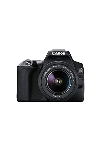 Canon EOS 250D Digitalkamera - mit Objektiv EF-S 18-55mm 3.5-5.6 III (24,1 Megapixel, 7,7 cm (3 Zoll) Vari-Angle Display, APS-C-Sensor, 4K, Full-HD, DIGIC 8, WLAN, Bluetooth), schwarz
