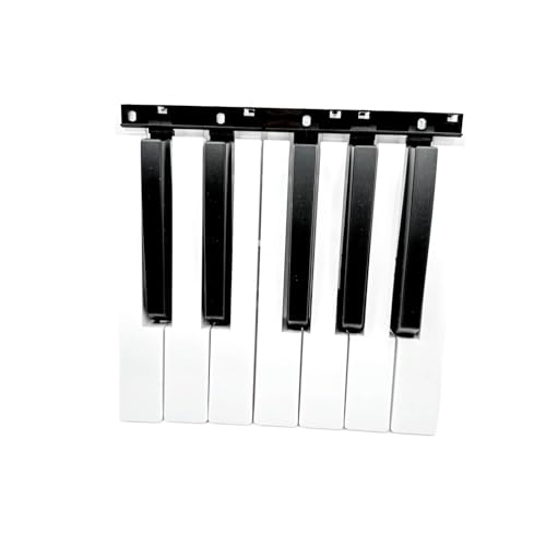 NSWHHV Schwarz-weiße Ersatztaste for elektrische Tastatur, kompatibel mit Korg PA500 PA300 PA600 PA700 Microx R3 X50(12 Black White Key)