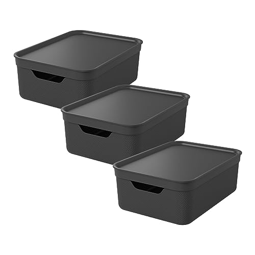 Rotho Jive 3er-Set Aufbewahrungsbox 10l mit Deckel, Kunststoff, anthrazit