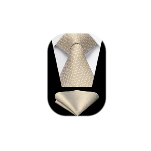 HISDERN Krawatten Champagne Herren Hochzeit Krawatte mit Einstecktuch Klassisch Business Krawatte & Taschentuch Set