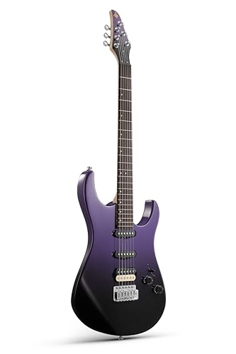 Donner DMT-66 39 Inch Full Size E-Gitarre für Anfänger, Starter E-Gitarren-Set mit Tasche Purplish Black
