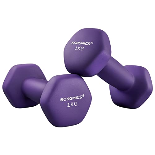 SONGMICS Kurzhanteln Set 2 Stück 2x1 kg Hanteln Hexagon Kurzhanteln mit Neoprenüberzug für Krafttraining Fitness Zuhause (Aschviolett) SYL902P02