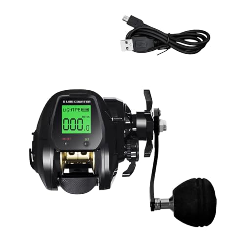 Angelrolle elektrisch