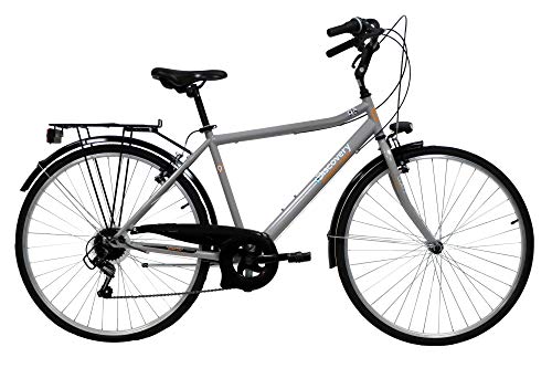 Denver Discovery Herren Trekkingrad Manhattan Herrenfahrrad (28 Zoll), Shimano 6 Gänge, Farbe Silber Metall