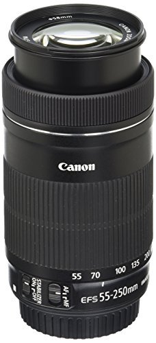 Canon EF-S 55-250mm F4-5.6 IS STM Objektiv für Spiegelreflexkameras von Canon