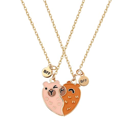 FloralGrace 2 Stück Capybara Freundschaftskette, Capibara Freundschaftsketten für 2 mädchen, Beste Freundinnen Halskette BFF Herz Hände Passende Ketten, Capybara Anhänger