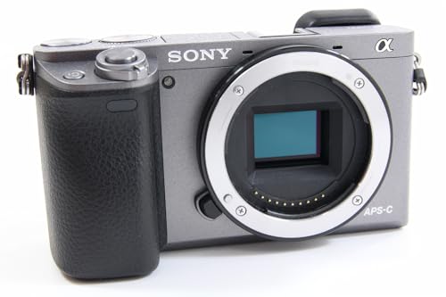 Sony Alpha 6000 Systemkamera (24 Megapixel, 7,6 cm (3 Zoll) LCD-Display, Exmor APS-C Sensor, Full-HD, High Speed Hybrid AF) graphit-grau