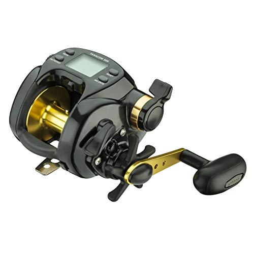 Daiwa elektronische Meeresrolle zum Hochseeangeln Tanacom 500