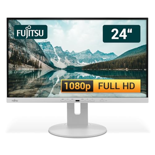 Fujitsu Display P24-9 TE 24 Zoll Business Computer Monitor, Desktop Gaming Monitor, Full HD (VGA - DisplayPort - HDMI - USB-C - Lautsprecher - HUB - VESA), PC Bildschirm, marmorgrau (Generalüberholt)