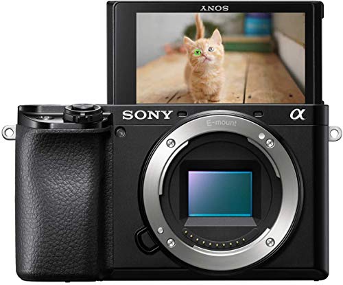 Sony Alpha 6100 | APS-C Spiegellose Kamera ( Schneller 0,02s-Autofokus, Autofokus mit Augenerkennung für Mensch und Tier, 4K-Filmaufnahmen und neigbares Display)