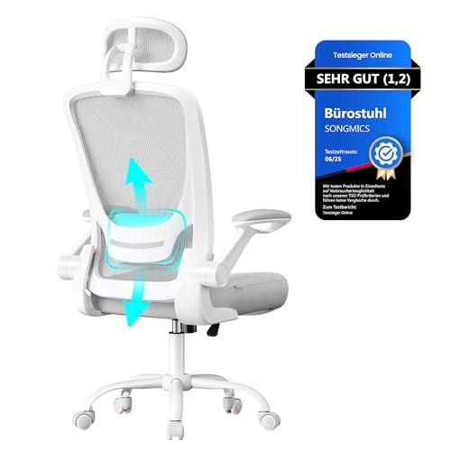 SONGMICS Bürostuhl ergonomisch, Drehstuhl mit Mesh, Lenden- und Kopfstütze, Wippfunktion, 53 cm große Sitzfläche, klappbare Armlehnen, Arbeits- und Schlafzimmer, Studenten, Taubengrau OBN047G01