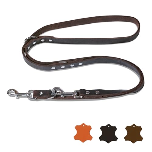 FREUDENTIER Hundeleine Leder 2m - Lederleine verstellbar - Führleine aus Fettleder für kleine, mittelgroße & große Hunde - Alsterufer Kollektion (Chocolate, 16mm breit)