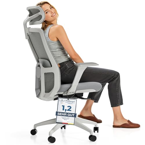 Desktronic Verstellbarer ergonomischer Bürostuhl | Schreibtischstuhl mit Lendenwirbelstütze, Höhenverstellung Körper Atmungsaktives Gewebe-Breite Sitzfläche SitOne Grau