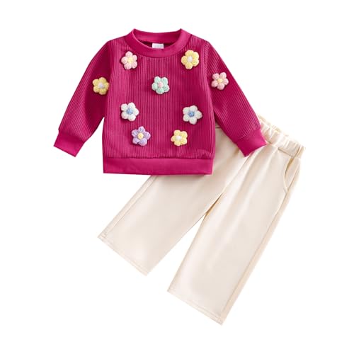 JiAmy Baby Mädchen Kleidung Langarm Top + Hose Zweiteiler Neugeborene Herbst Winter Babykleidung Set Kleinkind Bekleidungssets für 6-12 Monate