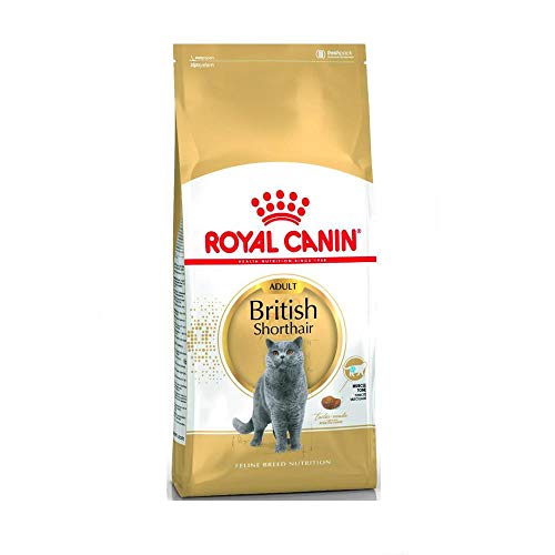 Royal Canin Feline British Shorthair, 1er Pack (1 x 10 kg Beutel) - Katzenfutter