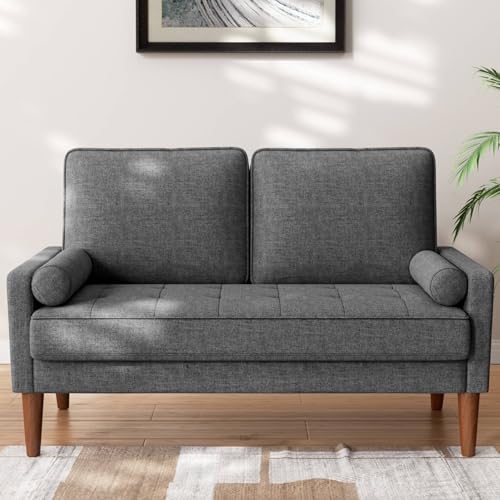 Meskanu Sofa 2 Sitzer, Modernes 2er Sofa mit 2 Wurfkissen, Kleine Stoffcouch mit Armlehne, Mini Sofa für Wohnzimmer/Wohnung/Büro, Einfache Montage, Dunkelgrau, 121 x 77 x 87CM