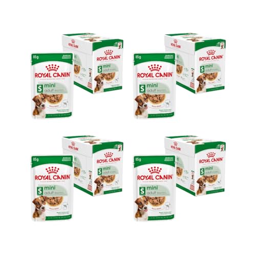 Royal Canin Mini Adult | 4er Pack | 4 x 12 x 85 g | Nassfutter für erwachsende kleine Hunde | mit EPA & DHA