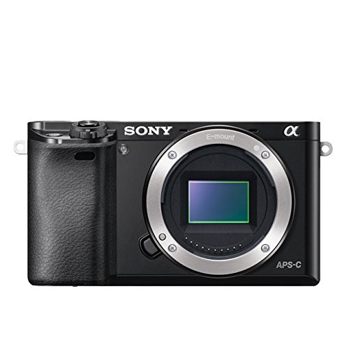 Sony Alpha 6000 Systemkamera (24 Megapixel, 7,6 cm (3