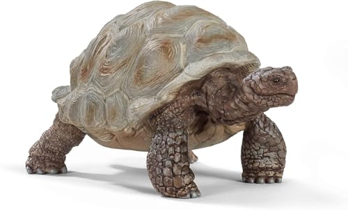 SCHLEICH WILD Life | Riesenschildkröte 14824 | detailgetreue Tierfiguren | Zoo Spielzeug | tolles Geschenk für Jungen und Mädchen | Deko für Geburtstag | Spielfigur ab 3 Jahren | 8 x 4 x 4 cm