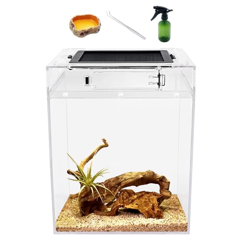 Reptile Growth hohes Terrarien-Set (PC), 20x 20x 28 cm Reptilienbecken mit oberem Schiebetürgitter Belüftung Reptilienterrarien für Schlange, Frosch, Insekt, Tarantel, Einsiedlerkrebs