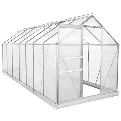 Zelsius Aluminium Gewächshaus für den Garten | inklusive Fundament | 430 x 190 cm | 6 mm Platten | Vielseitig nutzbar als Treibhaus, Tomatenhaus, Frühbeet und Pflanzenhaus