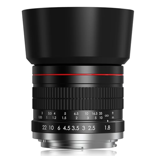 Lightdow F 85mm F1.8 Manuelles Objektiv, für Nikon F Mount Porträtobjektiv, Vollformat und APS-C, Leichtes, Festbrennweite für Nikkon D7500, D5100, D3200, D850, D810, D750, D610, D500, D60, D6, D5, D4