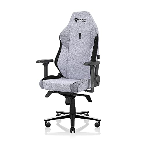 Secretlab Titan Evo Cookies & Cream Gaming-Stuhl - Verstellbarer, ergonomischer und komfortabler Computerstuhl mit 4D-Armlehnen, magnetischem Kopfkissen und 4-Wege-Lordosenstütze - Grau - Stoff