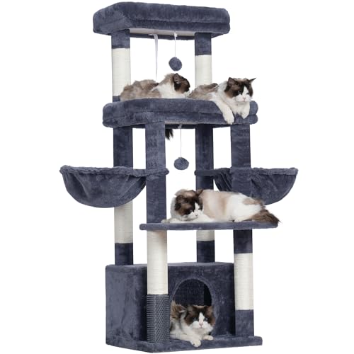 Hey-brother Kratzbaum, 0EMPJ070G