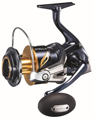 Shimano Stella 19 SW-C 8000PG