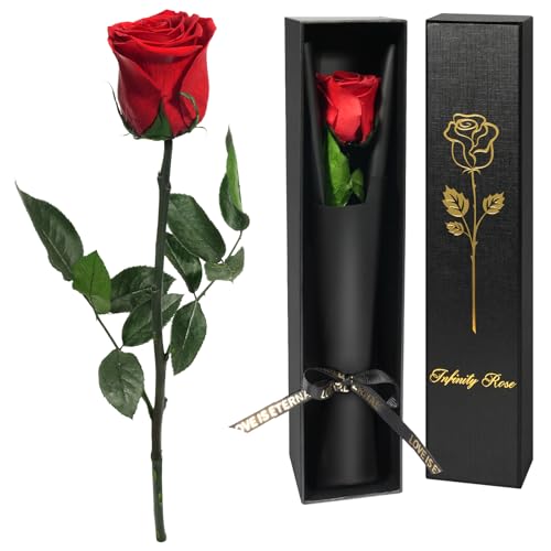Yamonic Infinity Rose mit Stiel Geschenke für Frauen,Echte Rose Geburtstagsgeschenk für Frauen, Ewige Rose in Geschenkbox Geschenke für Mama,Konservierte Blume Frauen Geschenk Weihnachten, Rote Rose