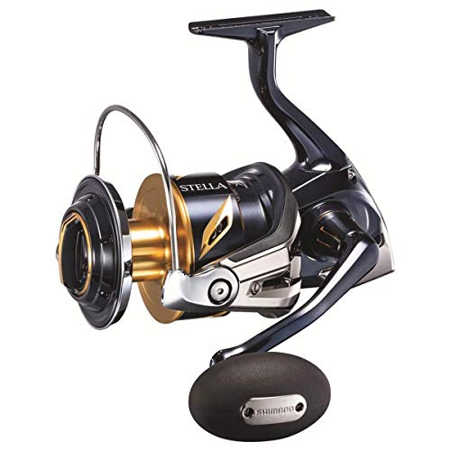 Shimano Stella 19 SW-C 10000PG