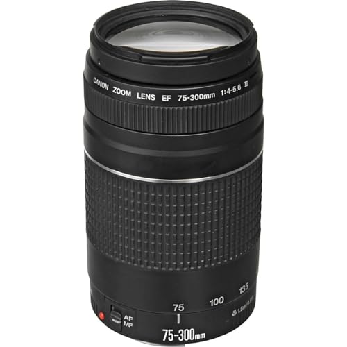 Canon Teleobjektiv EF 75-300mm f/4-5.6 III DC Europa 6473A015