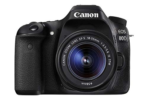 Canon EOS 80D Spiegelreflexkamera Gehäuse + EF-S 18-55 IS STM (24,2 MP, DIGIC 6, FULLHD, DualPixel AF) schwarz