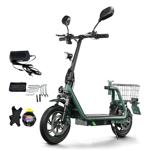 TWOFISH E Scooter mit Straßenzulassung(EEC), 12 Zoll Elektroroller mit 48V 13Ah Batterie und 30 km Reichweite, Elektro Scooter für Erwachsene, 120 kg Tragfähigkeit (Grün)