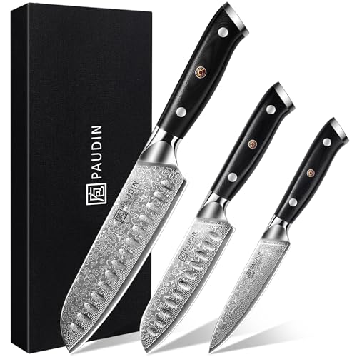 PAUDIN Damastmesser set, Messerset 3-teilig, Damast Küchenmesserset mit Ultra Scharfes Santokumesser Küchenmesser aus 67 Schichten Damaststahl mit Japanischem VG10 Stahl Kern, Ergonomischer G10 Griff