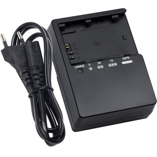LC-E6 Schnell-Ladegerät Kompatibel mit Canon LC-E6 LC-E6E LP-E6 LP-E6N LP-E6NH Akku für Canon EOS R5 R6 5D 5D Mark III 5DS 5DS R 6D 7D 60D 60DA 70D 80D 90D Mark II Kameras Power