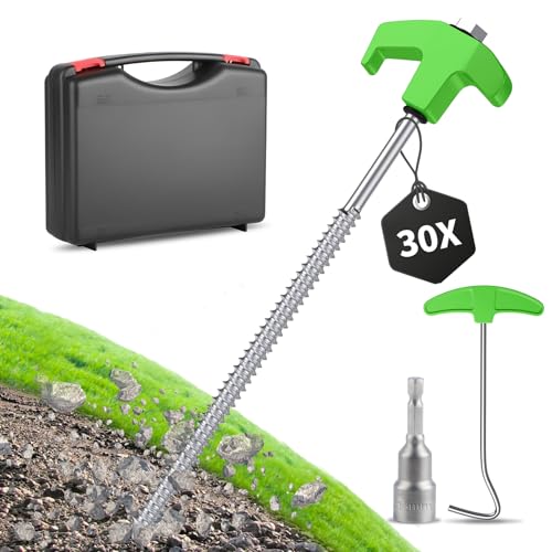 Forever Speed 30 Stück Zeltheringe aus Stahl mit Box [Bit ＆ Nagelzieher inkl.] 25 cm Camping Heringe Stahl Bodenanker Felsbodenhering für Harte Böden, Wald, Wiesen - Grün + Silber