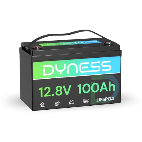 Dyness Lithium Batterie 12V 100Ah LiFePO4 Akku mit 100A BMS, Niedertemperatur-Abschaltung, Max 15000 Zyklen, 1280Wh Lithium Deep Cycle Solarbatterie für Wohnwagen, Camping, Solar Home Systeme, Boote