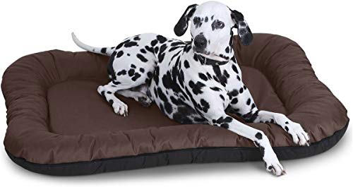 Knuffelwuff Wasserfestes In und Outdoor Hundebett Lucky aus Nylongewebe XXL 118 x 85cm Braun - abnehmbarer Bezug - waschbar - für große, mittelgroße und kleine Hunde