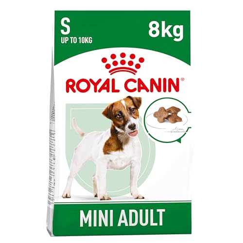 Royal Canin 35206 Mini Adult - Hundefutter, 1er Pack (1 x 8 kg)