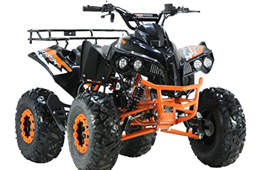 RV-Parts 125ccm Quad ATV Kinder Pitbike 4 Takt Motor Quad ATV 8 Zoll KXD ATV 008 Orange