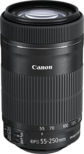 Canon EF-S 55-250mm 1:4-5.6 is STM Tele-Zoomobjektiv (58mm Filtergewinde) schwarz