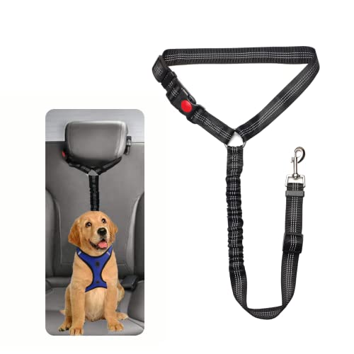 Sicherheitsgeschirr Hund - Anschnallgurt Hund Auto für Kleine Hunde Mittelgroße Hunde Welpen Zubehör (Schwarz)