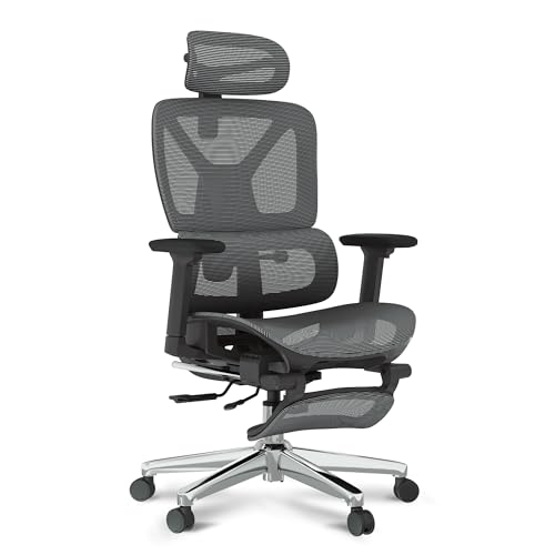 FLEXISPOT Ergonomischer Bürostuhl Schreibtischstuhl mit Fußstütze, 3D-Armlehnen, 3D-Kopfstütze, 5D-Rückenlehne, Atmungsaktiver Sitz Belastbar bis 136 kg Arbeitsstuhl, ErgoX, Dunkelgrau