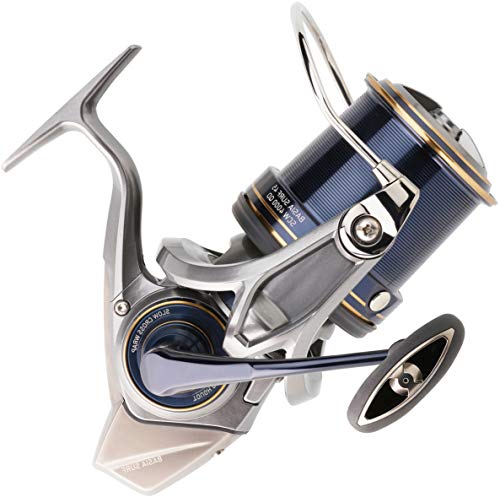 Daiwa - Moulinet Spinning Basia Surf 19 45 Scw Qd P - 505g - Cap.300m.0.35mm - BASIAS1945SCWQDP