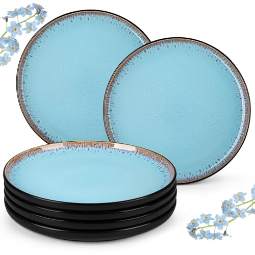 Steingut Teller Set 6 personen, vancasso AMBER Speiseteller, Teller Flach ø 26cm, Essteller Set, Dessertteller Geschirr für Salat, Spülmaschine und Mikrowellenfest, Reaktive Glasur, Seeblau